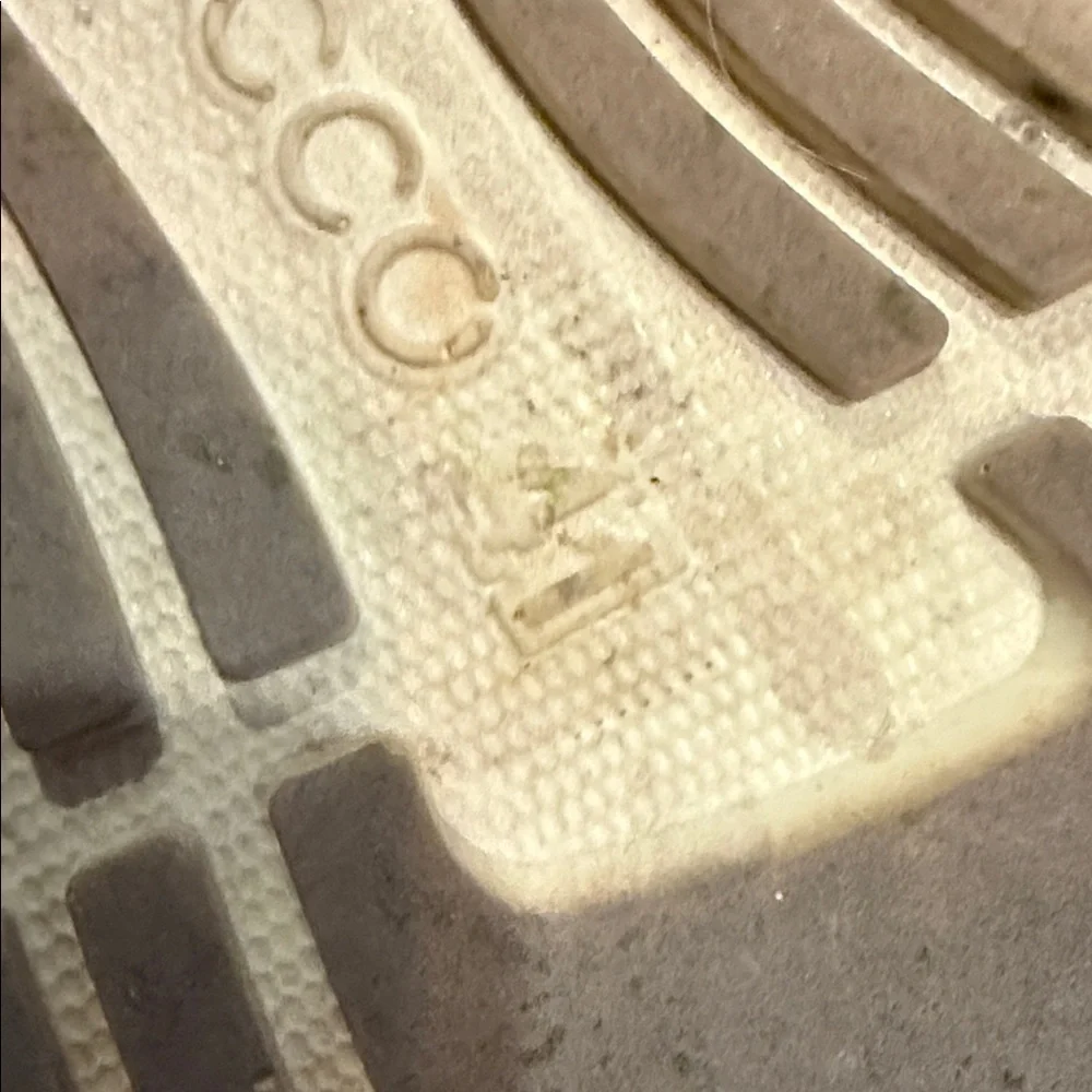 Ecco here pair